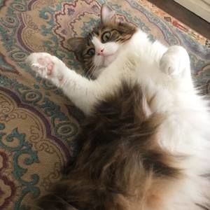 Meet your Posher, Alenka